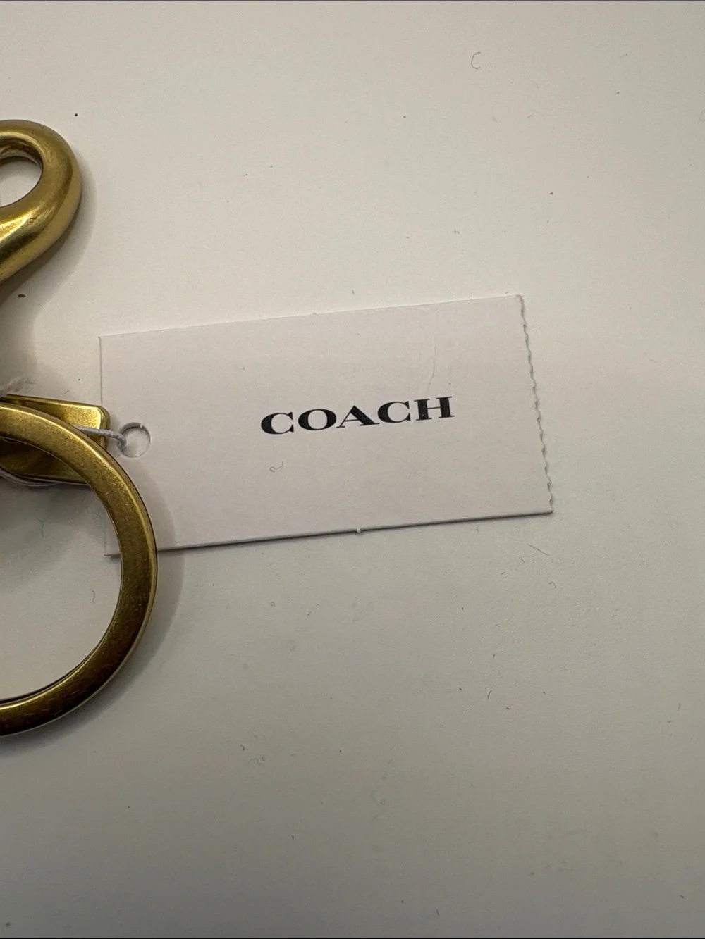 Coach key charm